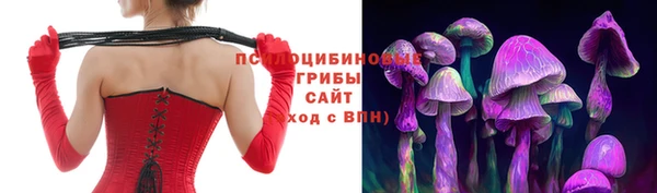 шишки Бородино