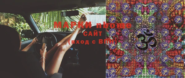 шишки Бородино