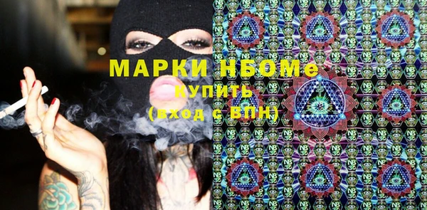шишки Бородино
