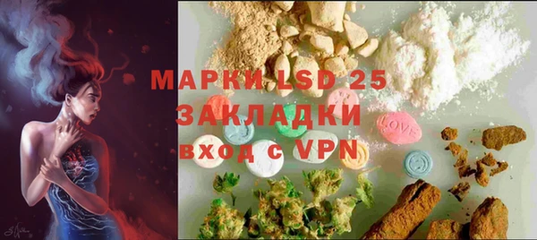 шишки Бородино